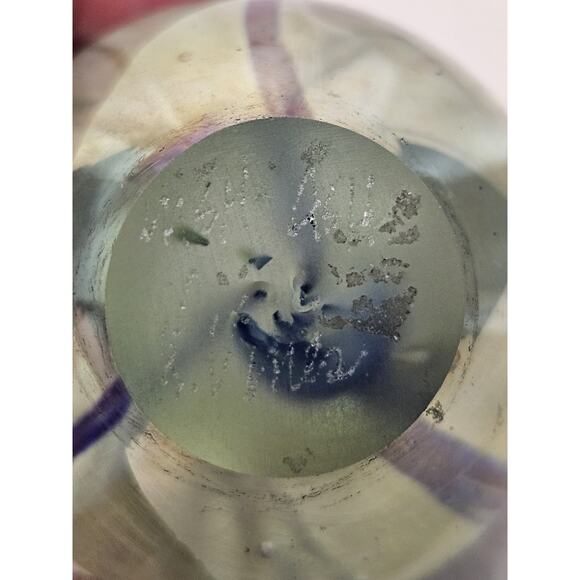 Vintage MSH Paperweight Signed 1986 Mount St Helen Ash Vines Art Glass Egg Shape - Picture 5 of 9